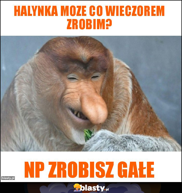 halynka moze co wieczorem zrobim?