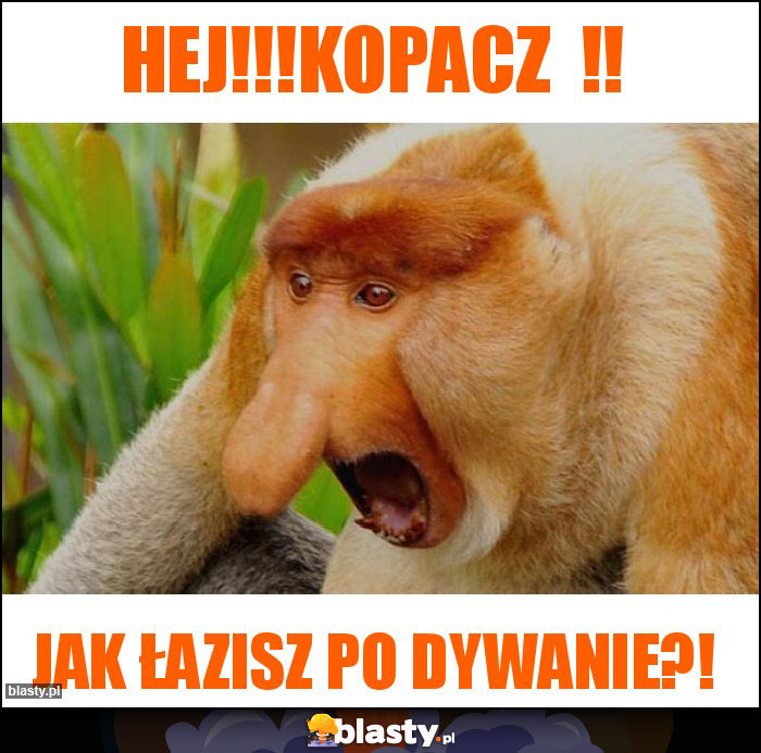 HEJ!!!KOPACZ  !!