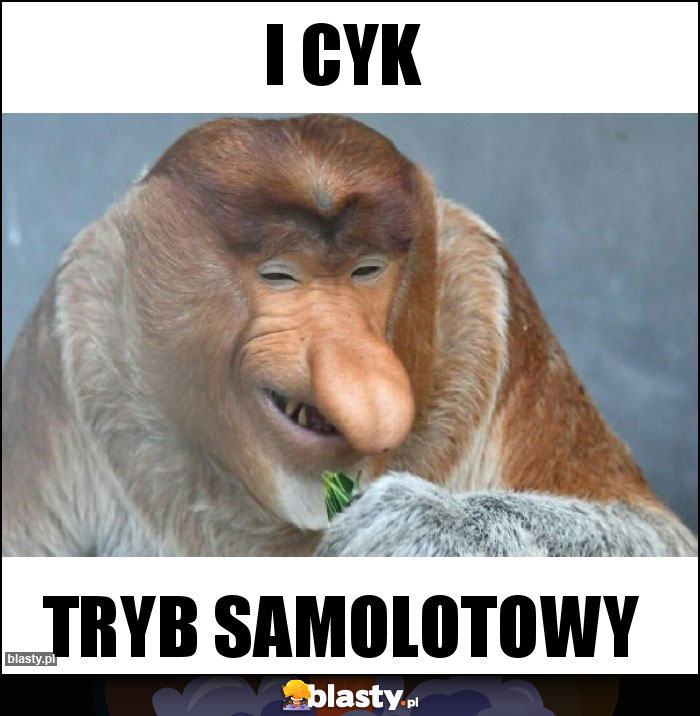 I cyk