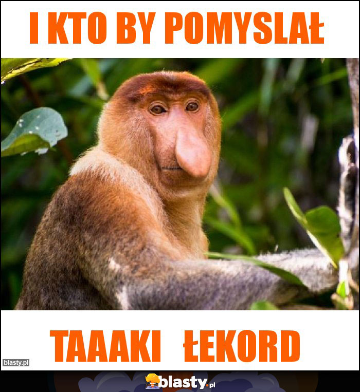 I KTO BY POMYSLAŁ