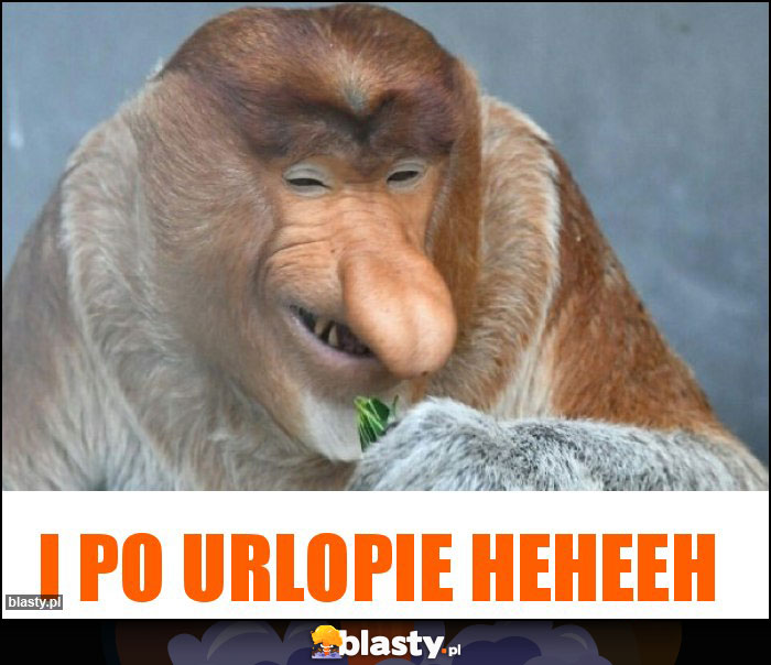 i po urlopie heheeh