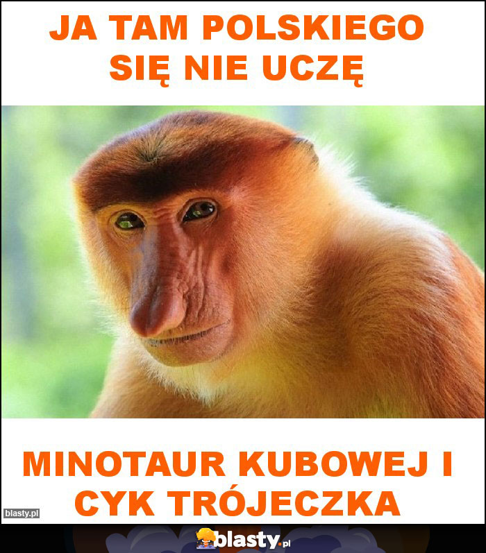 Ja tam Polskiego się nie uczę