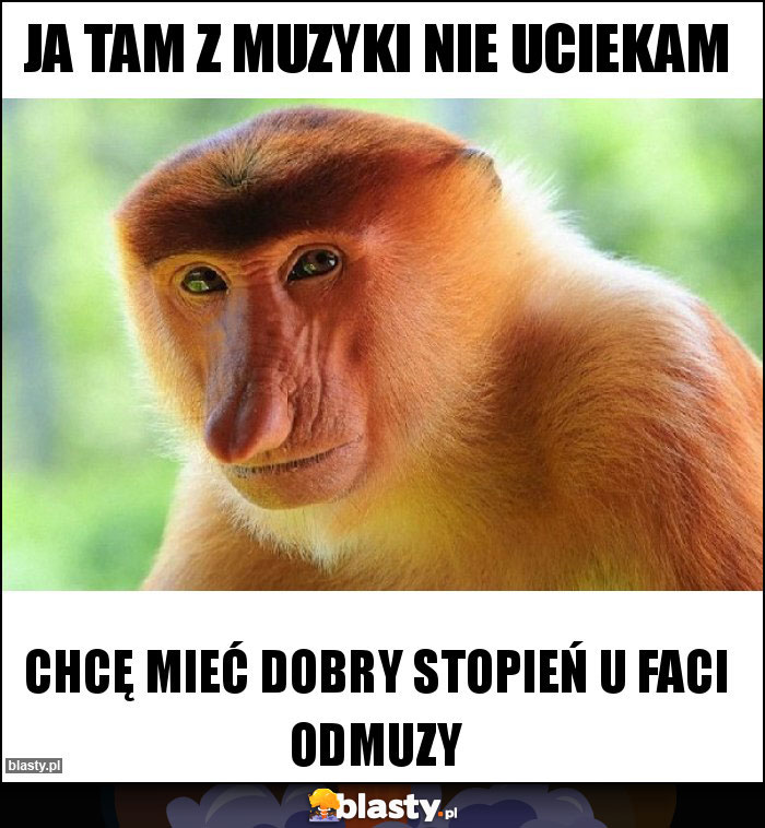 Ja tam z muzyki nie uciekam