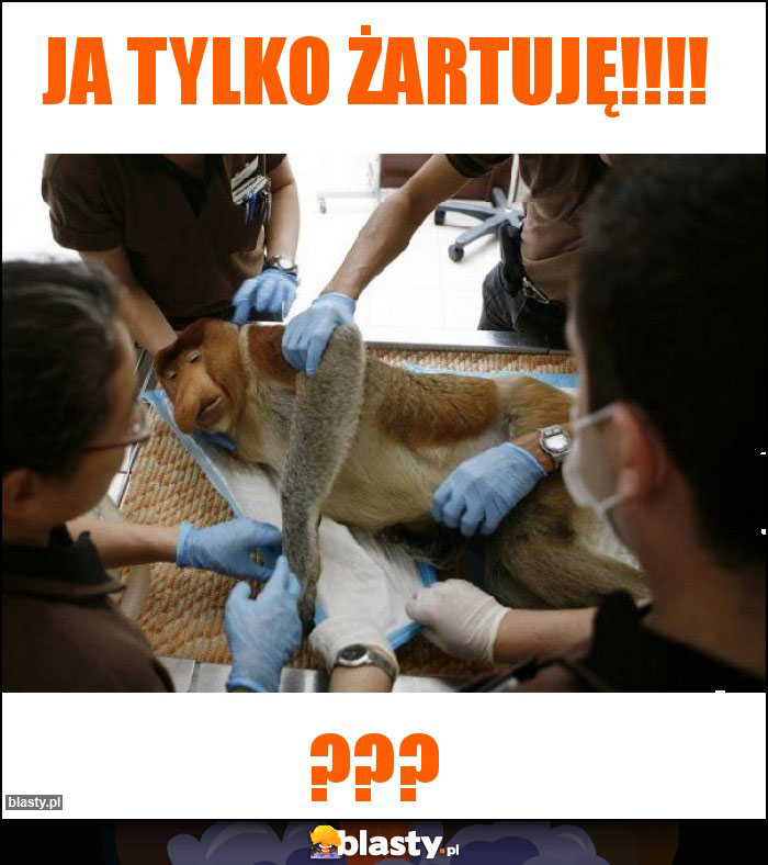 JA TYLKO ŻARTUJĘ!!!!