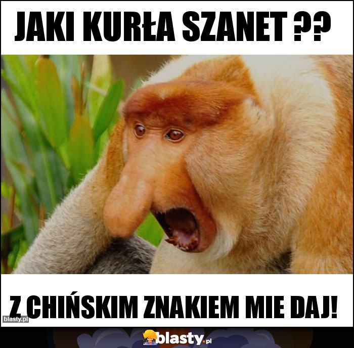 Jaki kurła szanet ??