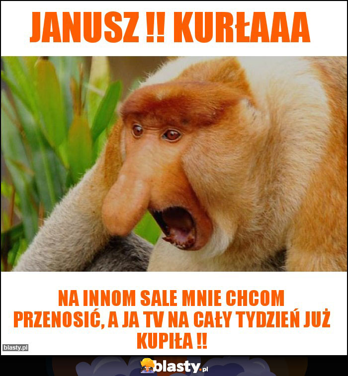 JANUSZ !! Kurłaaa