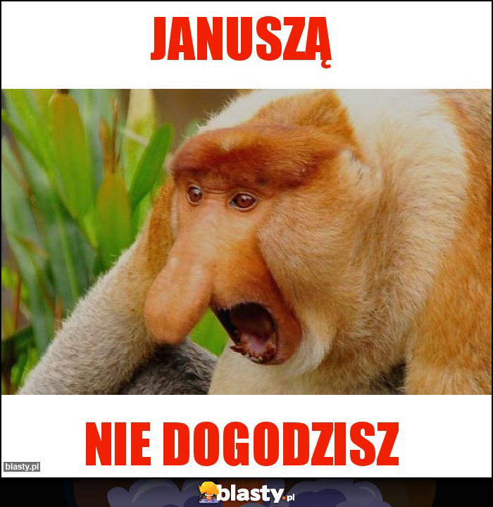 Januszą