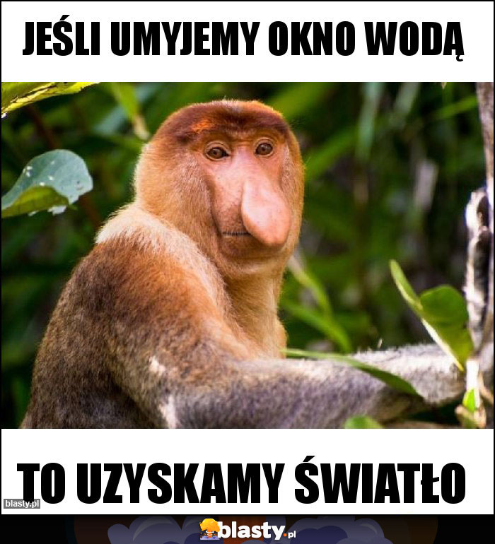 Jeśli umyjemy okno wodą