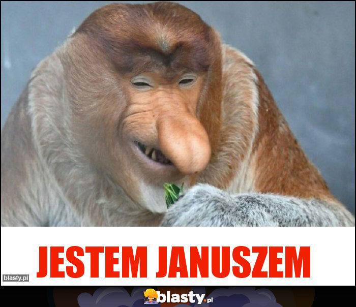 Jestem Januszem