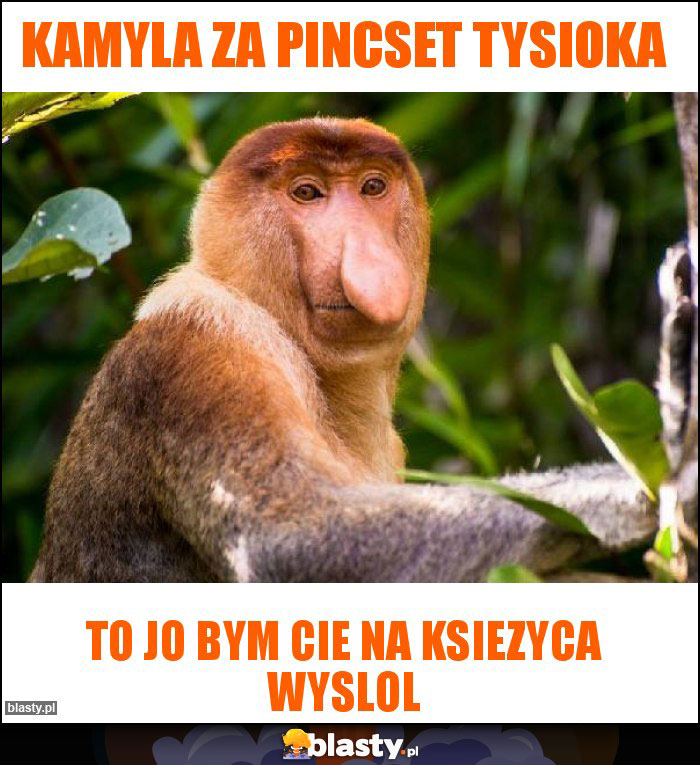 KAMYLA za Pincset tysioka