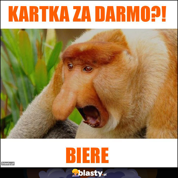 KARTKA ZA DARMO?!