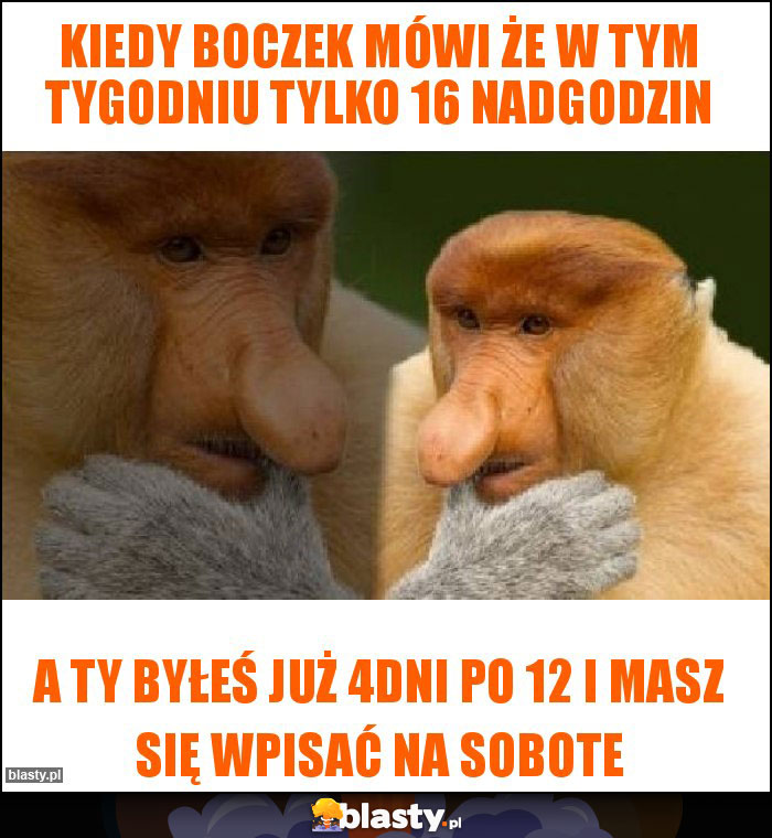 Kiedy boczek mówi że w tym tygodniu tylko 16 nadgodzin