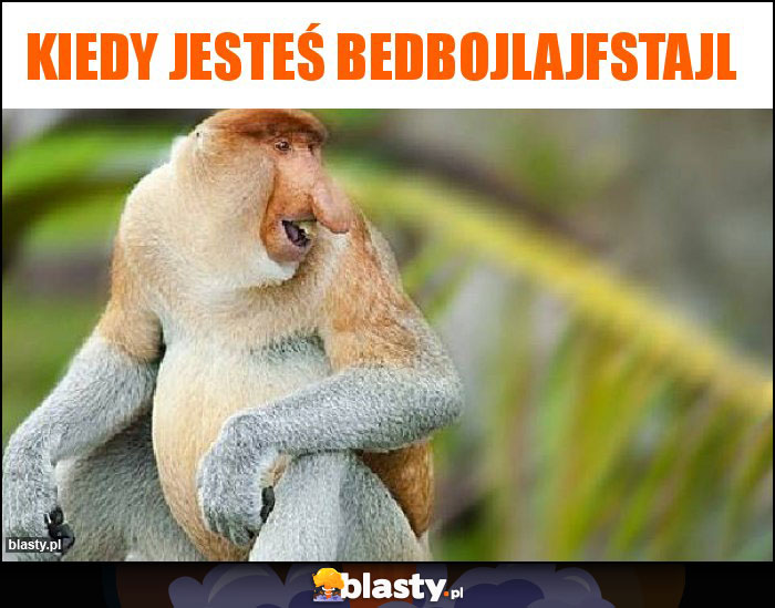 Kiedy jesteś bedbojlajfstajl