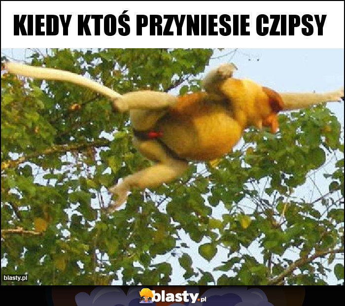 kiedy ktoś przyniesie czipsy