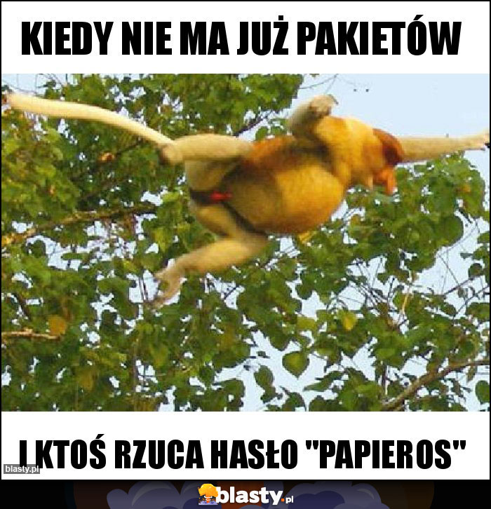 Kiedy nie ma już pakietów