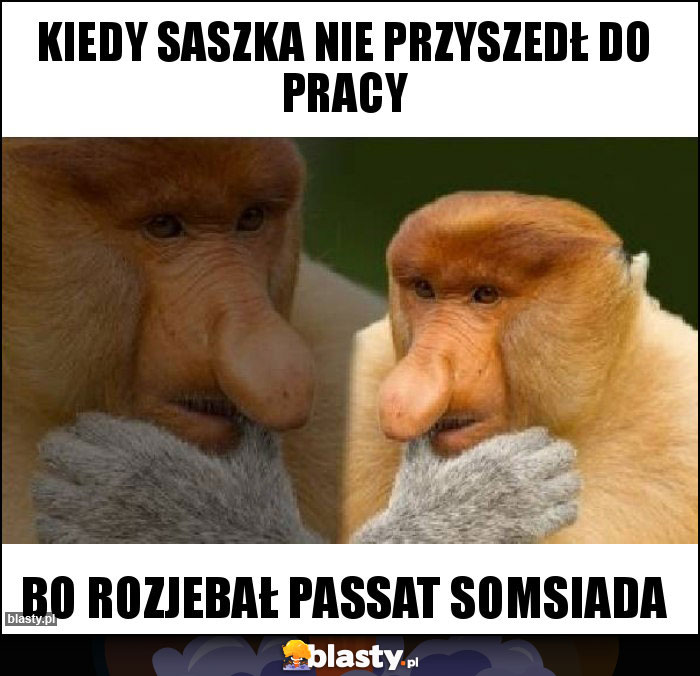 Kiedy Saszka nie przyszedł do pracy