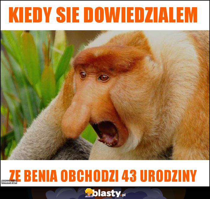 Kiedy sie dowiedzialem