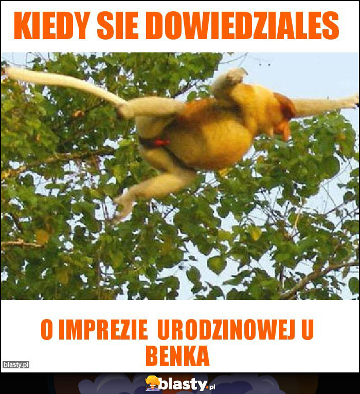 Kiedy sie dowiedziales