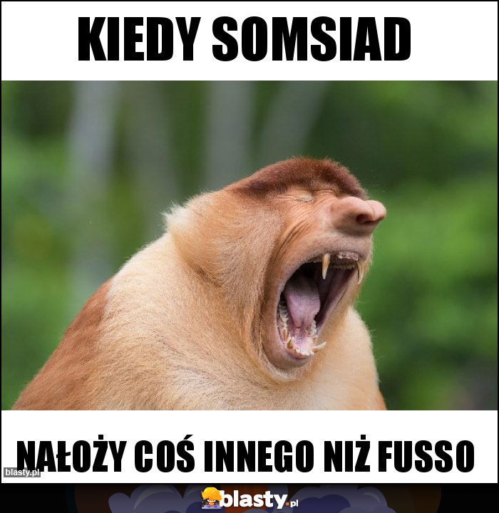 Kiedy somsiad