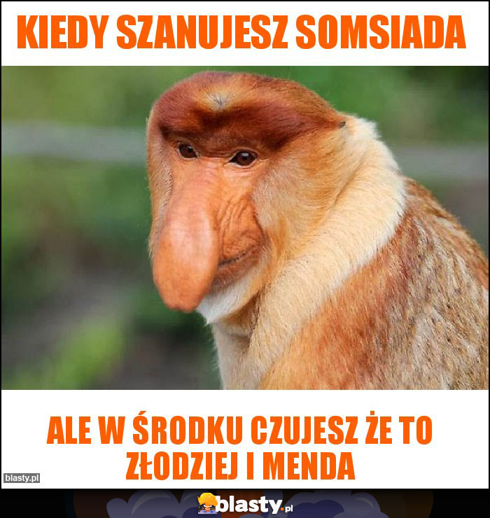 kiedy szanujesz somsiada