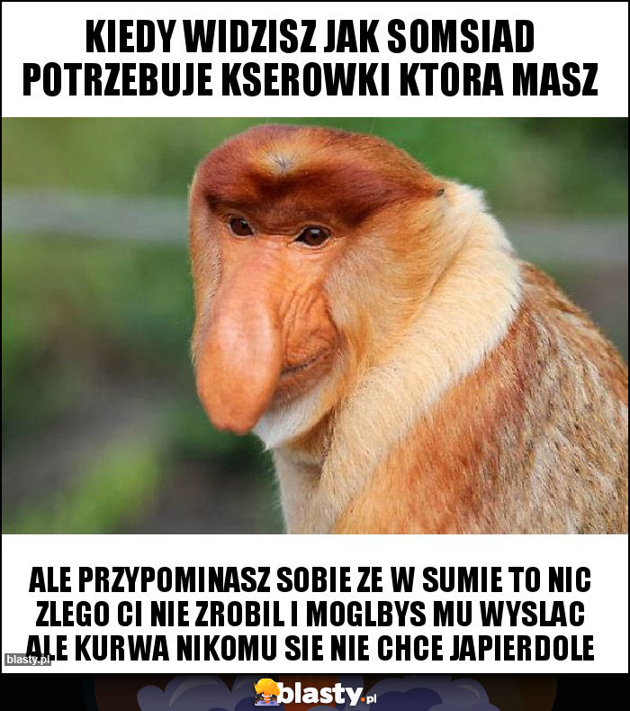 kiedy widzisz jak somsiad potrzebuje kserowki ktora masz