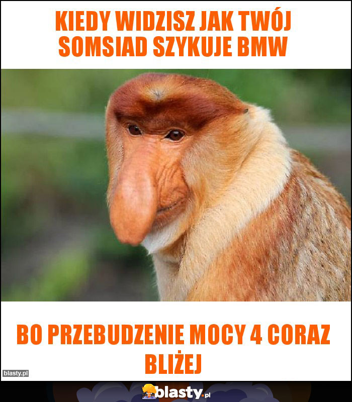 Kiedy widzisz jak twój somsiad szykuje bmw