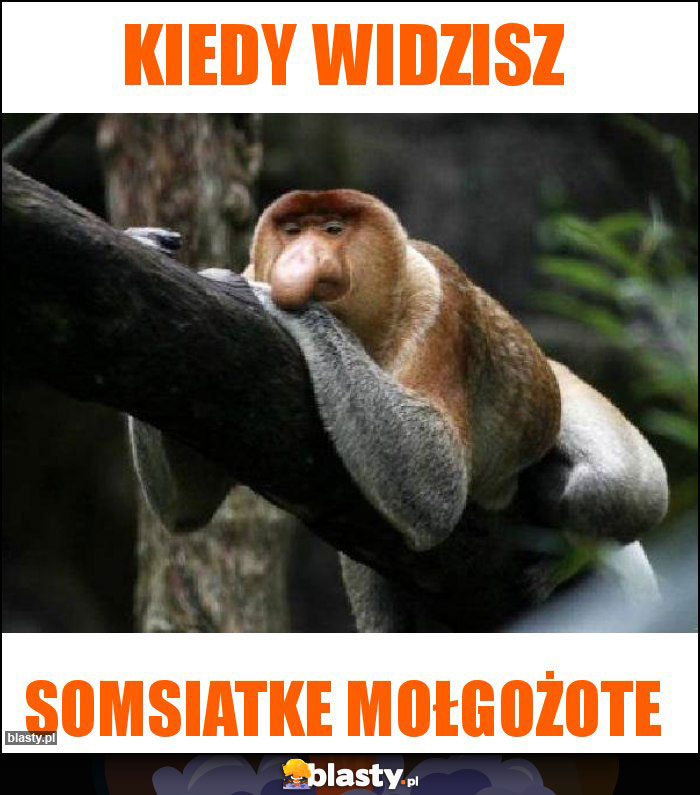 Kiedy widzisz