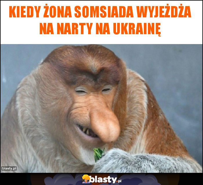 Kiedy żona somsiada wyjeżdża na narty na ukrainę