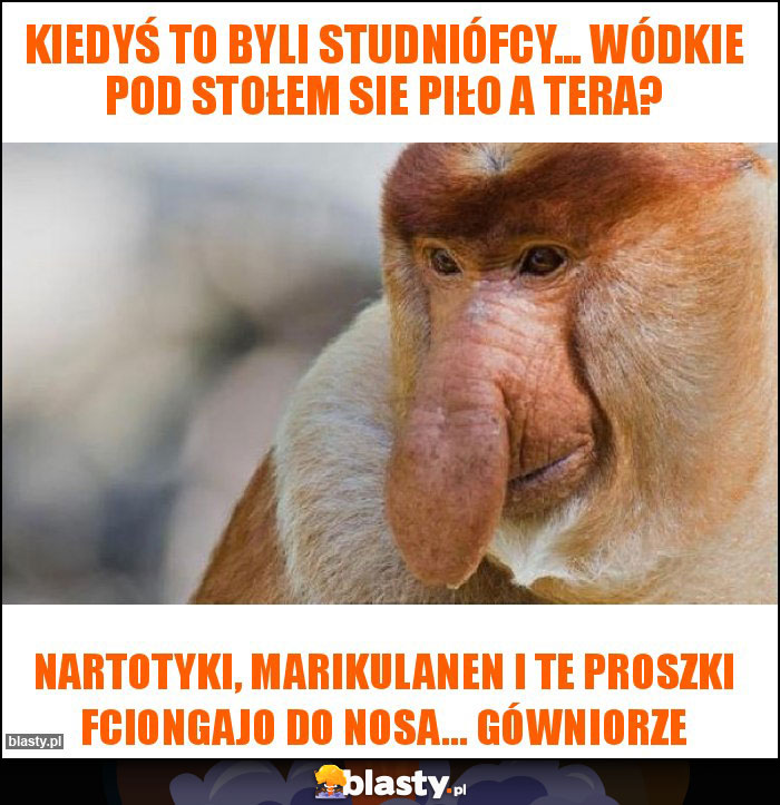 Kiedyś to byli studniófcy... wódkie pod stołem sie piło a tera?