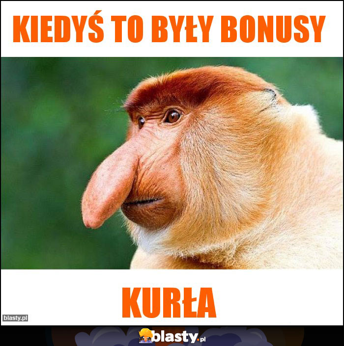 Kiedyś to były bonusy