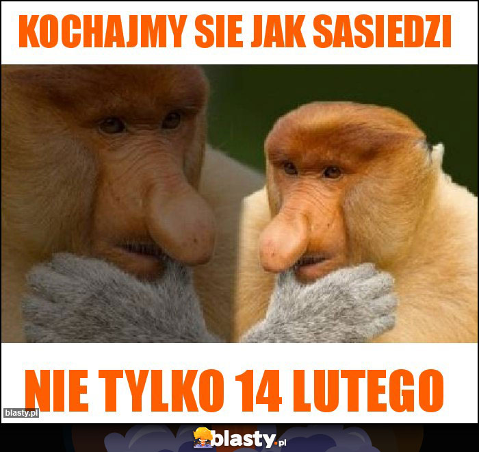 Kochajmy sie jak sasiedzi