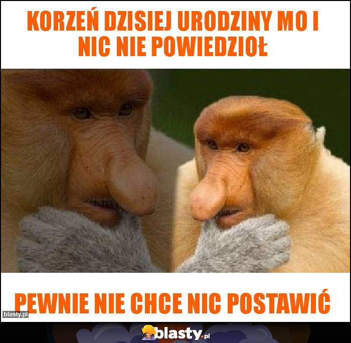 Korzeń dzisiej urodziny mo i nic nie powiedzioł