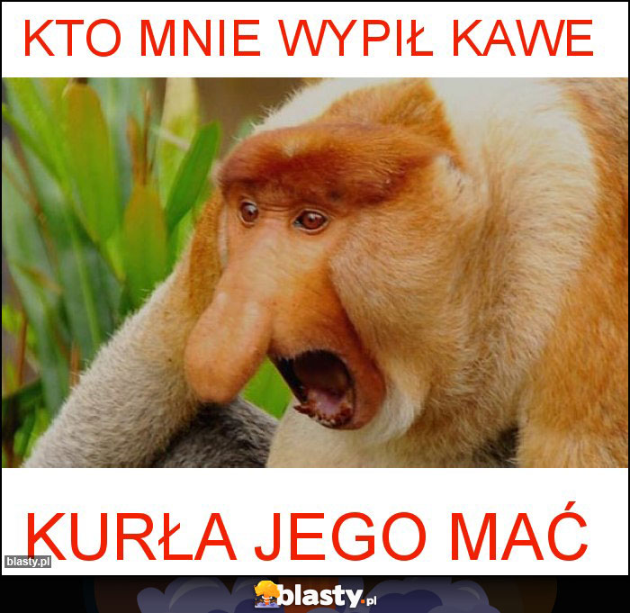 Kto mnie wypił kawe