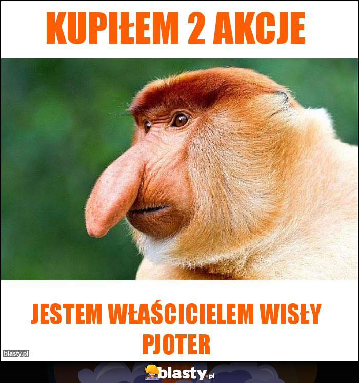 Kupiłem 2 akcje