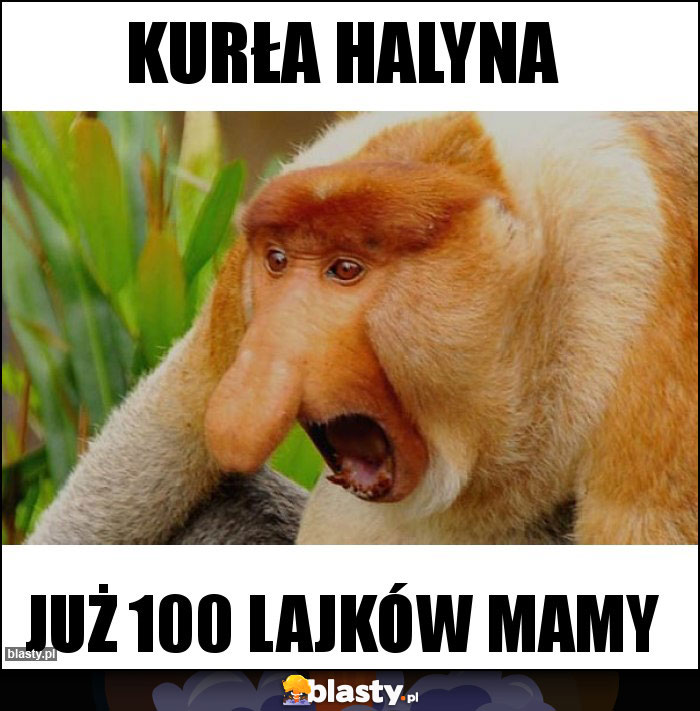 KUrła halyna