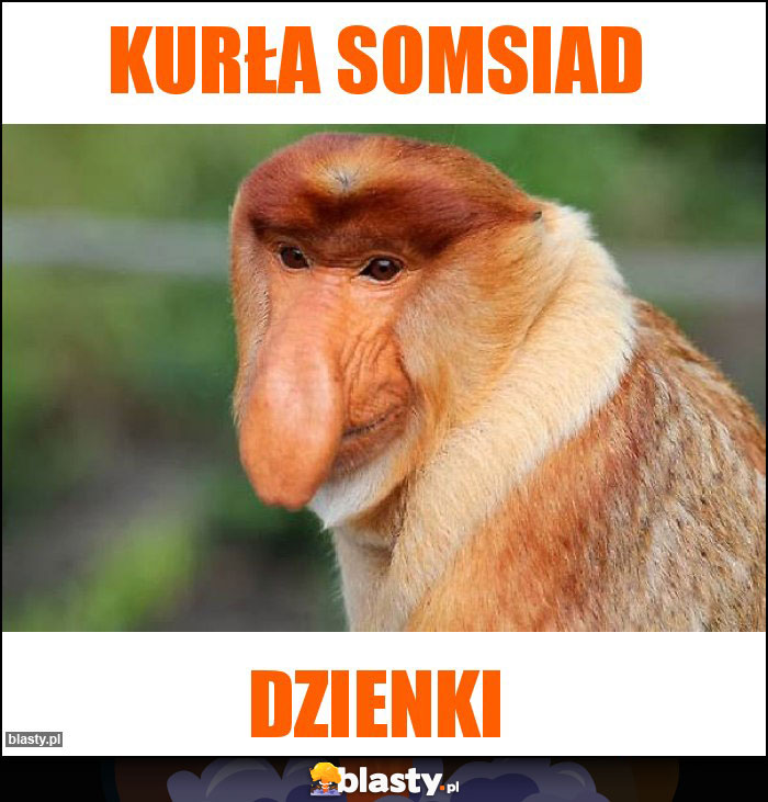 Kurła somsiad