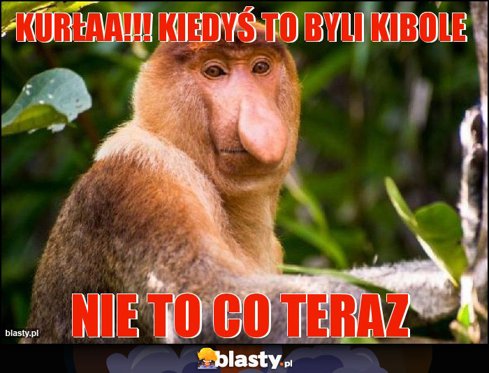 kurłaa!!! kiedyś to byli kibole