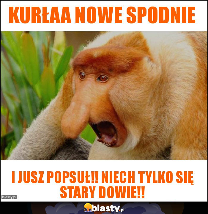 Kurłaa nowe spodnie