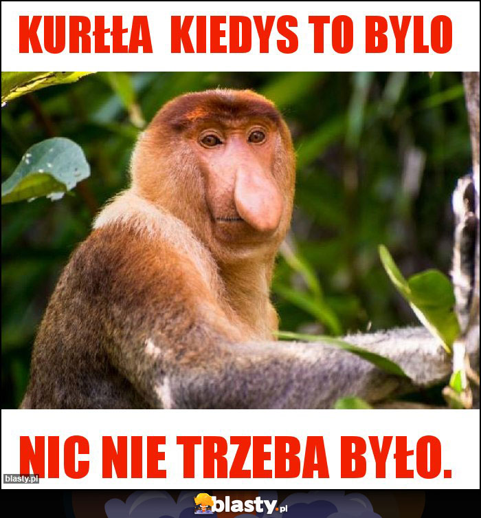 KURŁŁA  KIEDYS TO BYLO