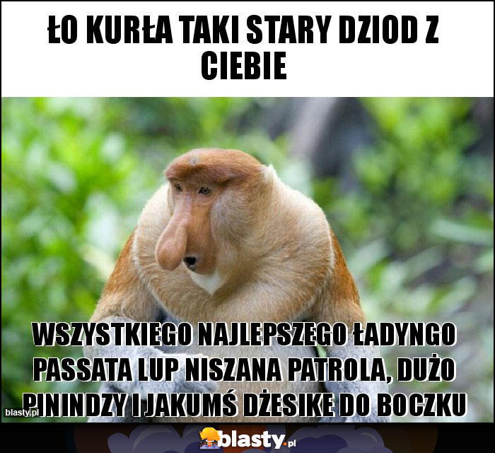 ŁO kurła taki stary dziod z ciebie