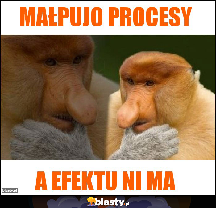 MAŁPUJO PROCESY