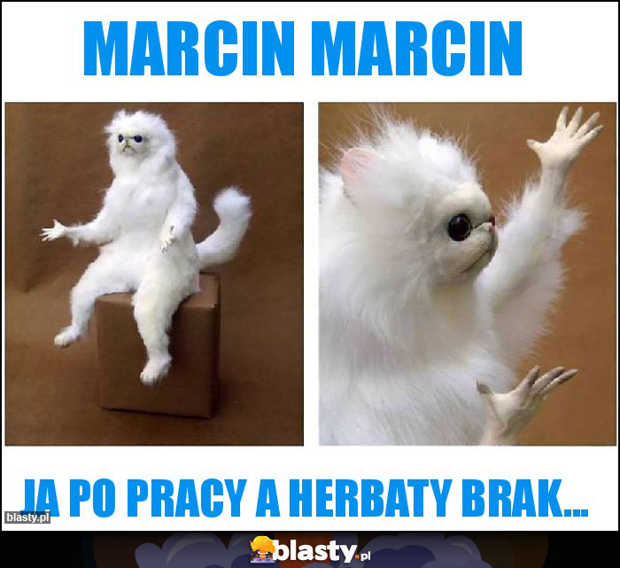 Marcin Marcin