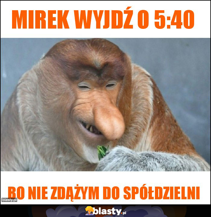 Mirek wyjdź o 5:40