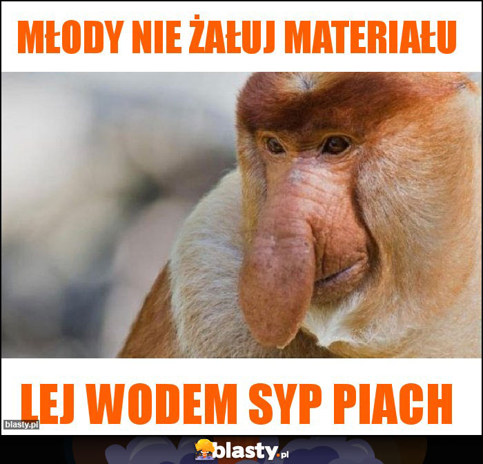 Młody nie żałuj materiału