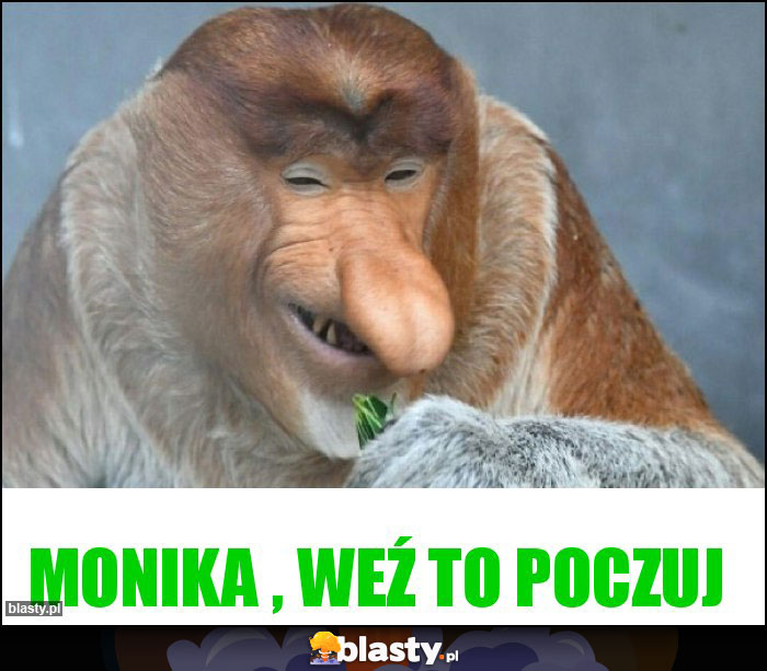 Monika , weź to poczuj