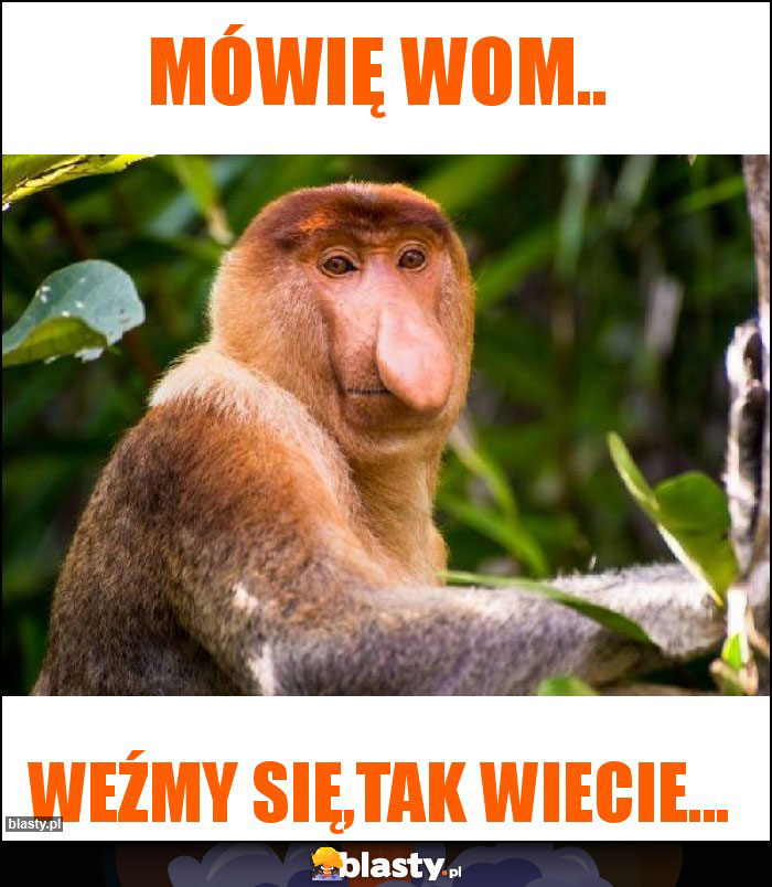 Mówię wom..