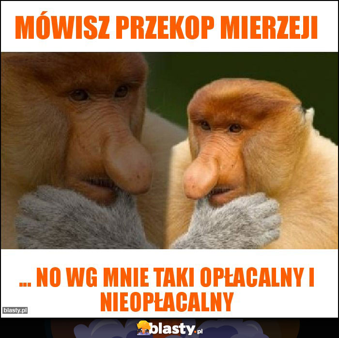 MÓWISZ PRZEKOP MIERZEJI