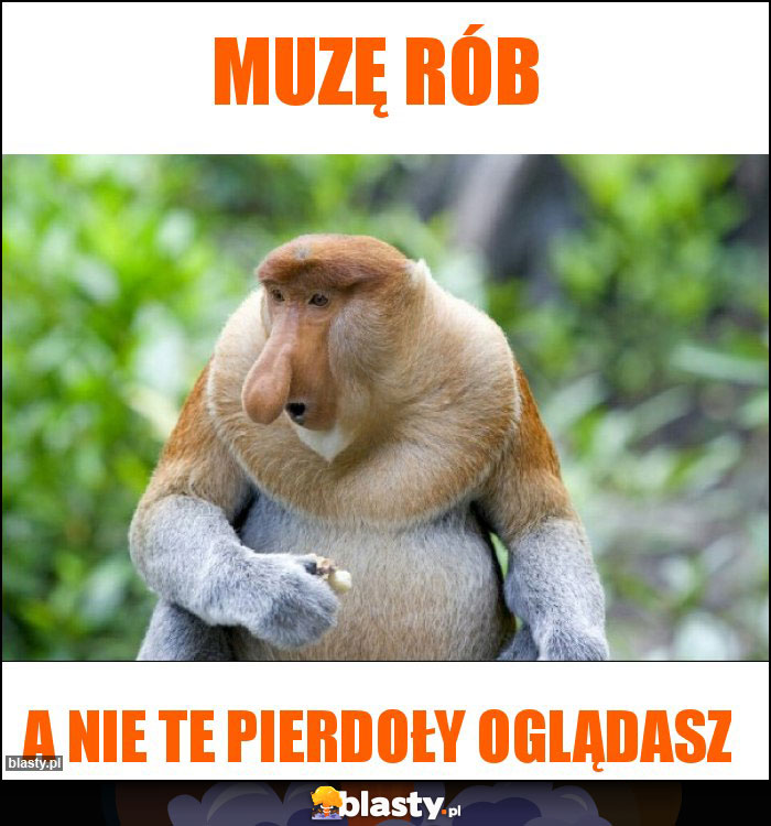 Muzę rób