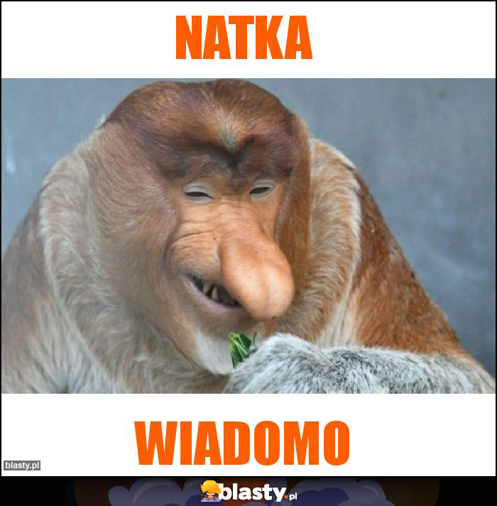 natka