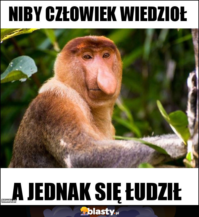 NIBY CZŁOWIEK WIEDZIOŁ